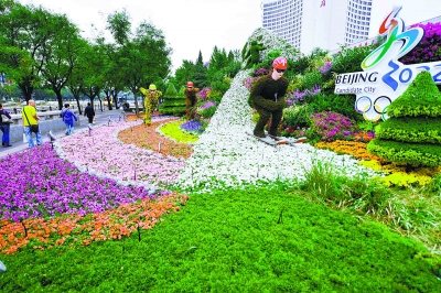 國慶 花壇