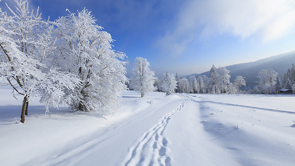 雪花