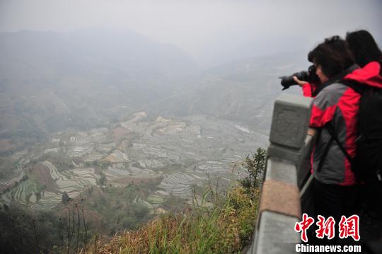 游客在哈尼梯田景區拍照。　劉冉陽 攝