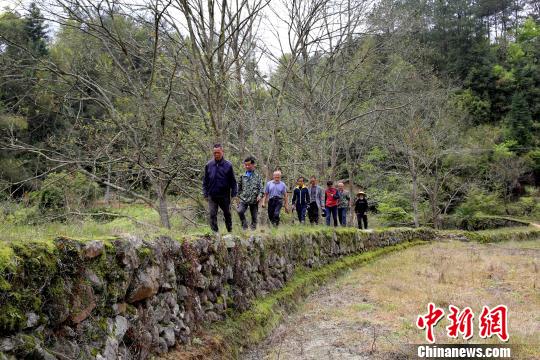 江西修水現300多年歷史防洪堤客家移民所筑至今完好