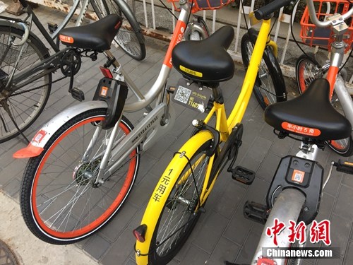 資料圖。某輛共享單車號碼被損。<a target='_blank' href='http://www.chinanews.com/' >中新網</a> 吳濤 攝