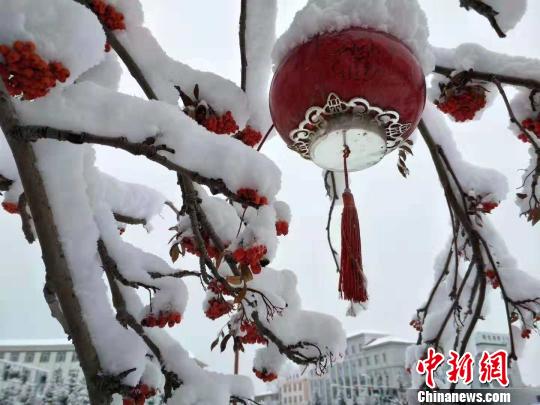 圖為街邊雪景?！垨|艷 攝