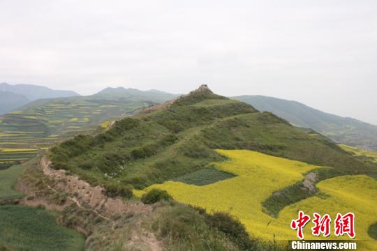 圖為青海省境內明長城。青海省文物局供圖